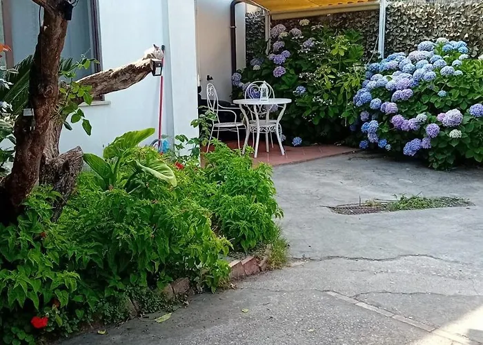 La Dracena
