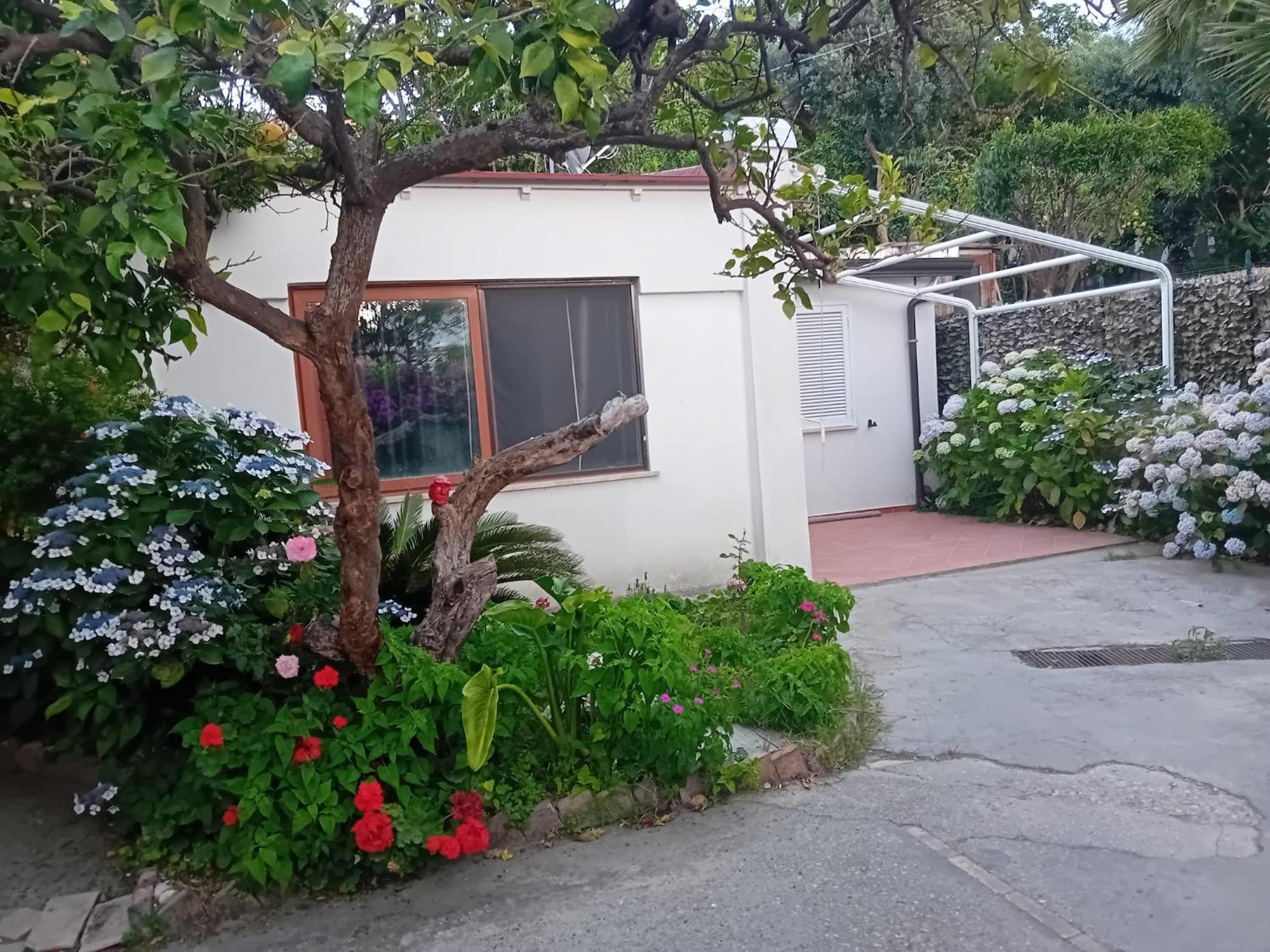 La Dracena Casa vacanze *